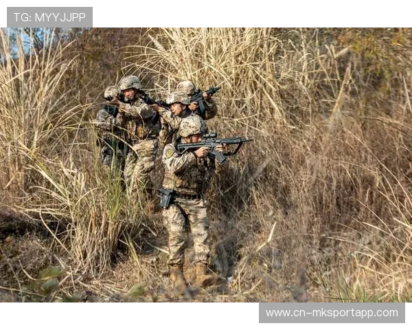 国家队技术组研发比赛情景模拟系统 用于技战术训练，技能大赛国家队